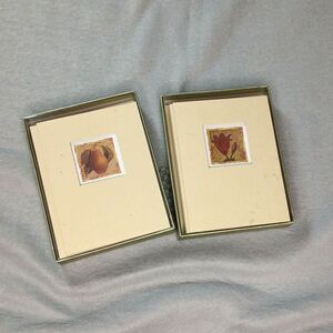Creative Papers Vtg 2002 Note Cards by C.R. Gibson Boxed 2 Box Set 22 Pear Lily